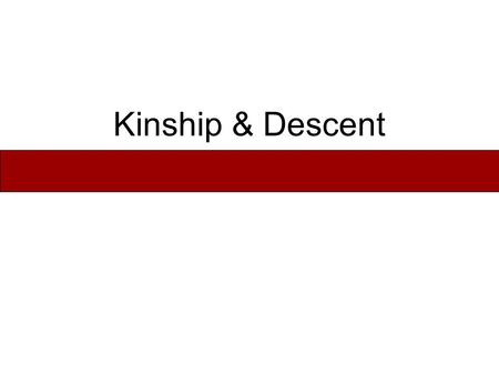 Kinship & Descent. What Is Kinship? Kinship is a relationship between any entities that share a genealogical origin (biological, cultural, or historical).