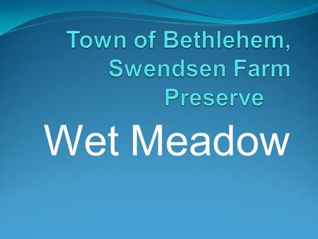 Wet Meadow. Southerly View of Wet Meadow Trail-Head $25,000 grant used to install bridges, boardwalks and signage.