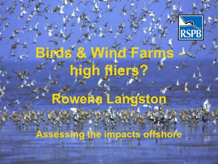 Birds & Wind Farms - high fliers? Rowena Langston Assessing the impacts offshore.