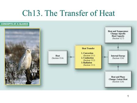 Ch13. The Transfer of Heat.