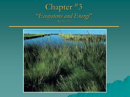 Chapter # 3 “Ecosystems and Energy” (Pg. 46 – 55).