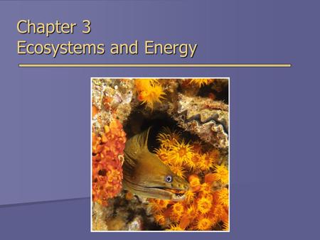 Chapter 3 Ecosystems and Energy. Overview of Chapter 3  What is Ecology?  The Energy of Life  Laws of Thermodynamics  Photosynthesis and Cellular.