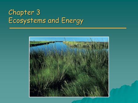 Chapter 3 Ecosystems and Energy. Overview of Chapter 3 o Ecology o Energy First Law of Thermodynamics First Law of Thermodynamics Second Law of Thermodynamics.