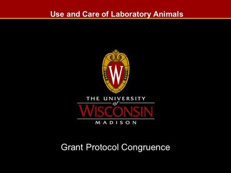 Use and Care of Laboratory Animals Grant Protocol Congruence Slide 1.