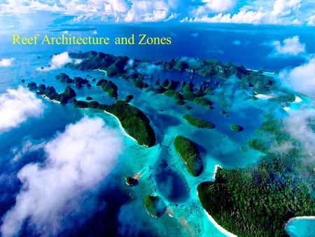 Reef Architecture and Zones. Reef Architecture -Structure of a ‘Typical’ Caribbean Reef (Goreau)