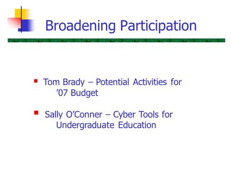Broadening Participation  Tom Brady – Potential Activities for ’07 Budget  Sally O’Conner – Cyber Tools for Undergraduate Education.