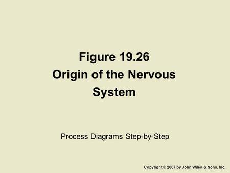 Figure 19.26 Origin of the Nervous System Process Diagrams Step-by-Step Copyright © 2007 by John Wiley & Sons, Inc.