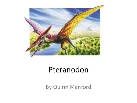 Pteranodon By Quinn Manford. When Pteranodons Flew The Pteranodon lived a long time ago in the Cretaceous period. They come in many different.