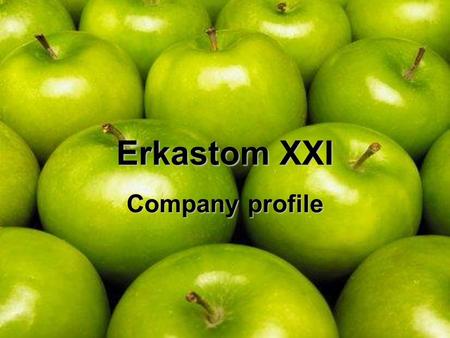 Erkastom XXI Company profile. Content Management Structure Business overview Exhibitions Product registration in Russia General information.