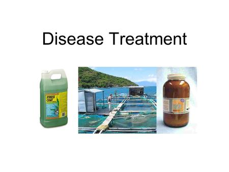 Disease Treatment. Methods of Disease Control in Fish Test and Slaughter Quarantine or restrict movements Destruction of transmission link Immunity/disease.