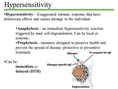 Hypersensitivity Hypersensitivity – Exaggerated immune response that have deleterious effects and causes damage to the individual. Anaphylaxis – an immediate.