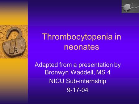 Thrombocytopenia in neonates Adapted from a presentation by Bronwyn Waddell, MS 4 NICU Sub-internship 9-17-04.