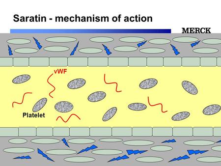Biomedical R&D Folie (slide) 1 Saratin - mechanism of action vWF Platelet.