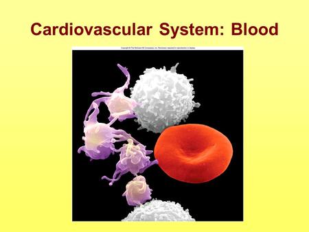 Cardiovascular System: Blood