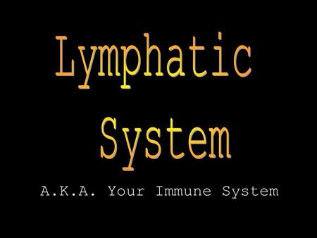 A.K.A. Your Immune System. Function of Lymphatic System The lymphatic system helps the body defend itself against disease and maintain homeostasis.