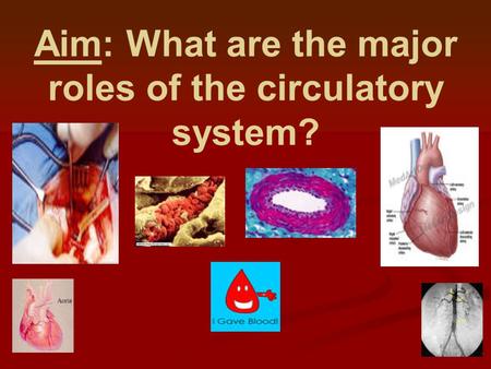 Aim: What are the major roles of the circulatory system?