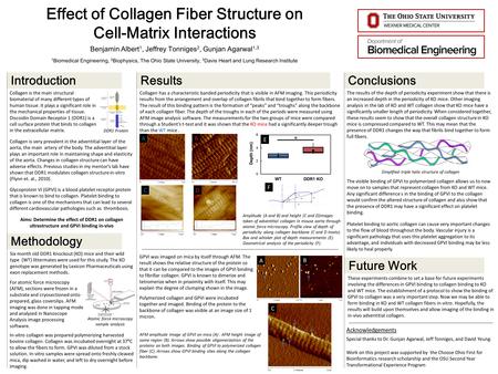 Methodology Effect of Collagen Fiber Structure on Cell-Matrix Interactions Benjamin Albert 1, Jeffrey Tonniges 2, Gunjan Agarwal 1,3 1 Biomedical Engineering,
