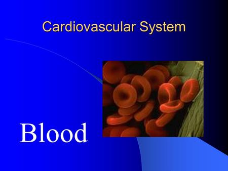 Cardiovascular System