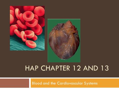 Blood and the Cardiovascular Systems