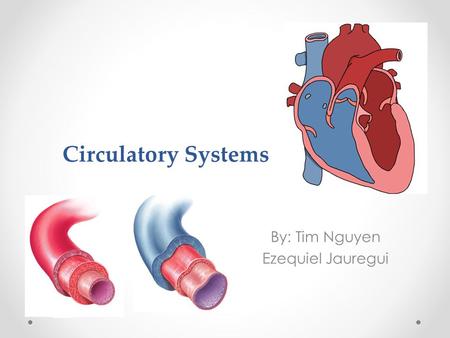 Circulatory Systems By: Tim Nguyen Ezequiel Jauregui.