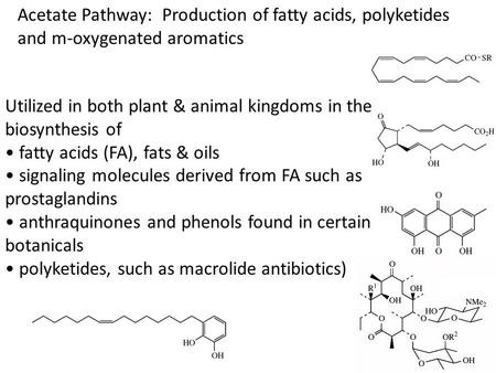 Utilized in both plant & animal kingdoms in the biosynthesis of fatty acids (FA), fats & oils signaling molecules derived from FA such as prostaglandins.