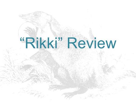“Rikki” Review.