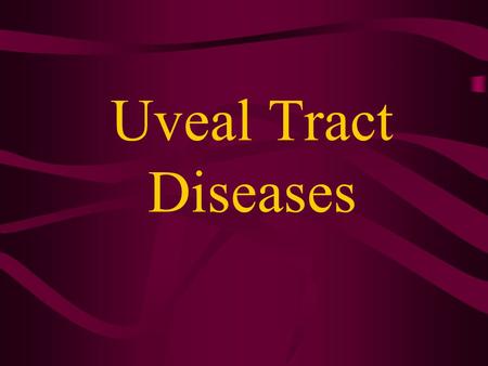 Uveal Tract Diseases.