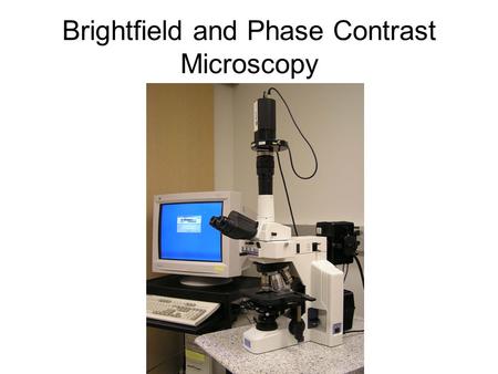 Brightfield and Phase Contrast Microscopy. Microscope: Micro = Gk. “small” + skopien = Gk. “to look at”