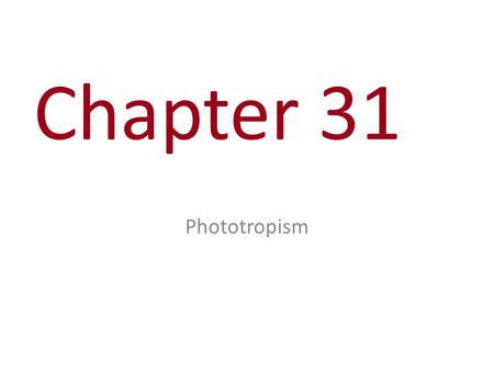 Chapter 31 Phototropism. You Must Know The three components of a signal transduction pathway and how changes could alter cellular responses. (This is.