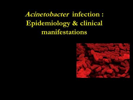 Acinetobacter infection : Epidemiology & clinical manifestations.