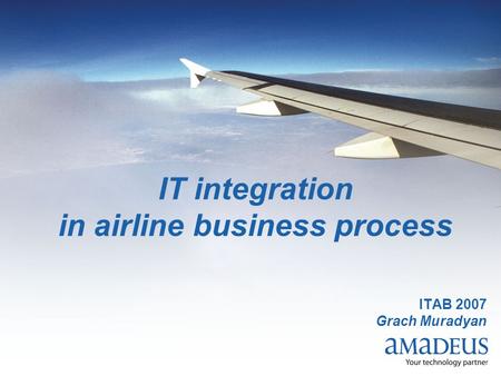IT integration in airline business process ITAB 2007 Grach Muradyan.