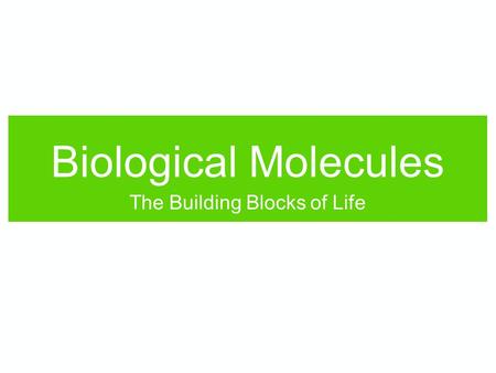 Biological Molecules The Building Blocks of Life.