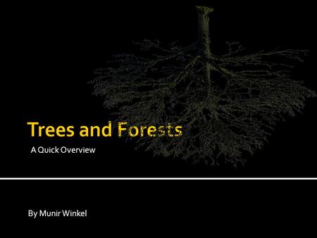 A Quick Overview By Munir Winkel. What do you know about: 1) decision trees 2) random forests? How could they be used?
