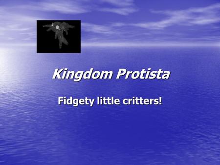 Kingdom Protista Fidgety little critters! What is a Protist? Eukaryotic Eukaryotic –Has a nucleus! Mostly single celled Mostly single celled Classified.