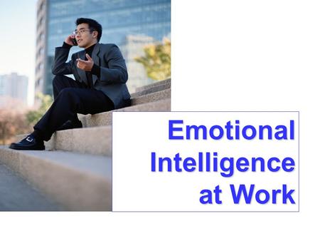 Emotional Intelligence at Work. Emotional Intelligence Framework The Intrapersonal Realm The Interpersonal Realm The Adaptability Realm The Stress Management.