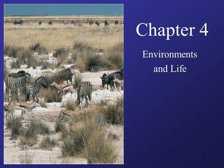 1 Chapter 4 Environments and Life. 2 Guiding Questions What factors determine the ecological niches of species, and by what means do species obtain nutrition?