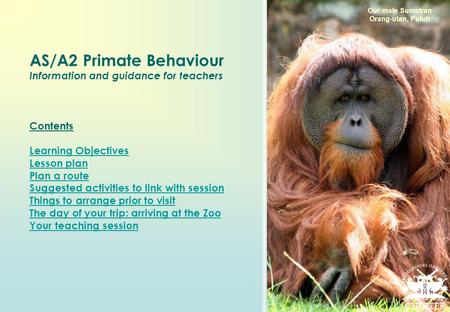AS/A2 Primate Behaviour Information and guidance for teachers Contents Learning Objectives Lesson plan Plan a route Suggested activities to link with session.