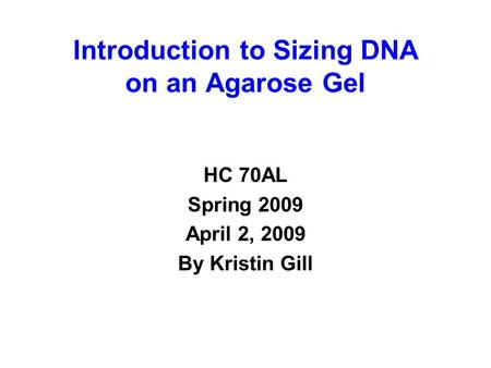 Introduction to Sizing DNA on an Agarose Gel HC 70AL Spring 2009 April 2, 2009 By Kristin Gill.