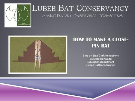 HOW TO MAKE A CLOSE- PIN BAT Step by Step Craft Instructions By: Alex Henwood Education Department Lubee Bat Conservancy.
