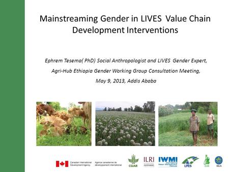 Mainstreaming Gender in LIVES Value Chain Development Interventions Ephrem Tesema( PhD) Social Anthropologist and LIVES Gender Expert, Agri-Hub Ethiopia.