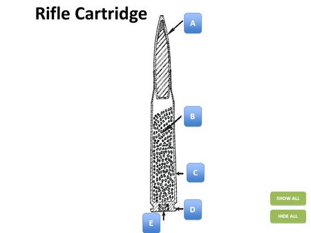 Rifle Cartridge SHOW ALL HIDE ALL A A B B C C D D E E.