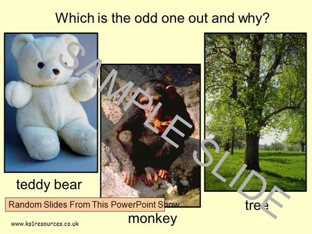 Www.ks1resources.co.uk Which is the odd one out and why? teddy bear monkey tree SAMPLE SLIDE Random Slides From This PowerPoint Show.
