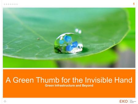 A Green Thumb for the Invisible Hand Green Infrastructure and Beyond 1.
