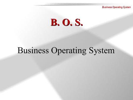 Business Operating System