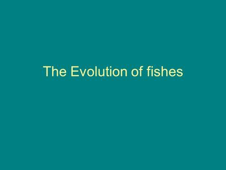 The Evolution of fishes. How to become a better fish Add paired appendages Better tail (symmetrical) Add jaws Loose the armor Strengthen internal skeleton.