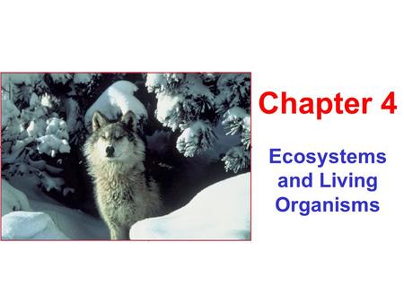 Ecosystems and Living Organisms Chapter 4. Evolution Genetic changes in a population through time. Occurs through natural selection Overproduction Variation.