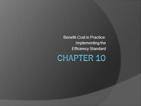 Benefit-Cost in Practice: Implementing the Efficiency Standard.