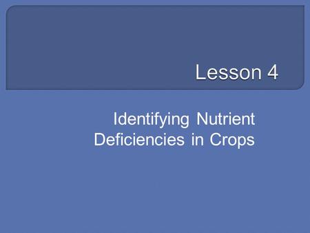 Identifying Nutrient Deficiencies in Crops