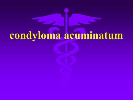 Condyloma acuminatum. 1 、 Definition Condyloma acuminatum(also known as condyloma acuminata,genital wart or venereal warts ) is a proliferative disease.