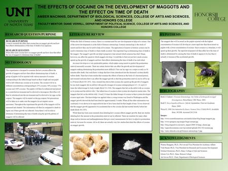 THE EFFECTS OF COCAINE ON THE DEVELOPMENT OF MAGGOTS AND THE EFFECT ON TIME OF DEATH AMBER MACINNIS, DEPARTMENT OF BIOLOGICAL SCIENCES, COLLEGE OF ARTS.